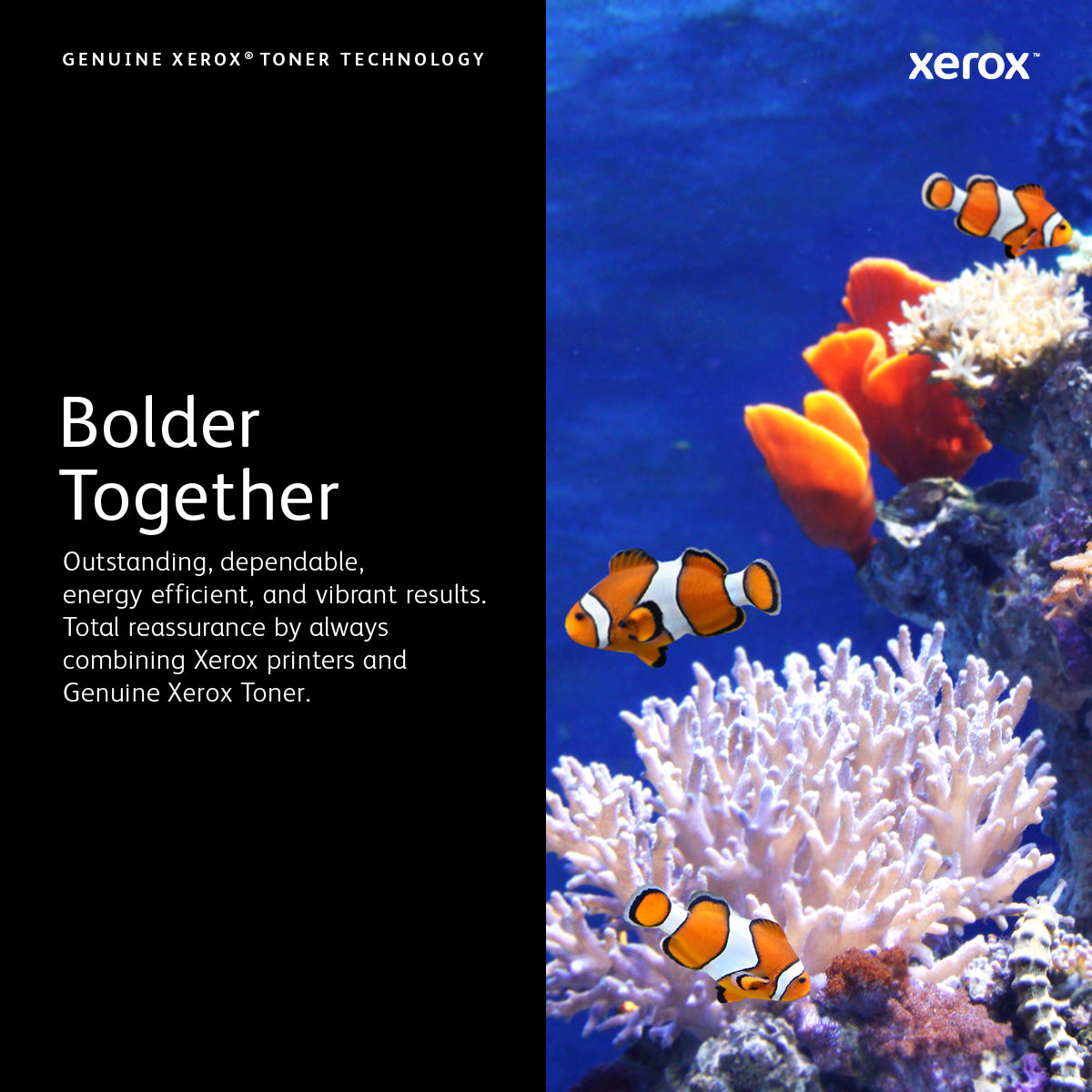 Xerox 006R01514 Yellow Original Toner Cartridge 1 pc(s)