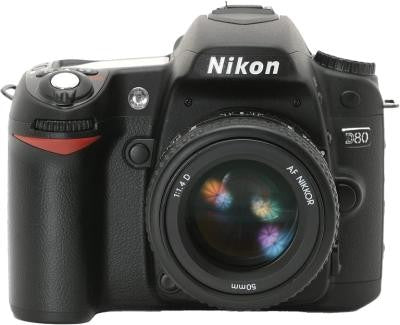 Memory Card for Nikon D80 Camera