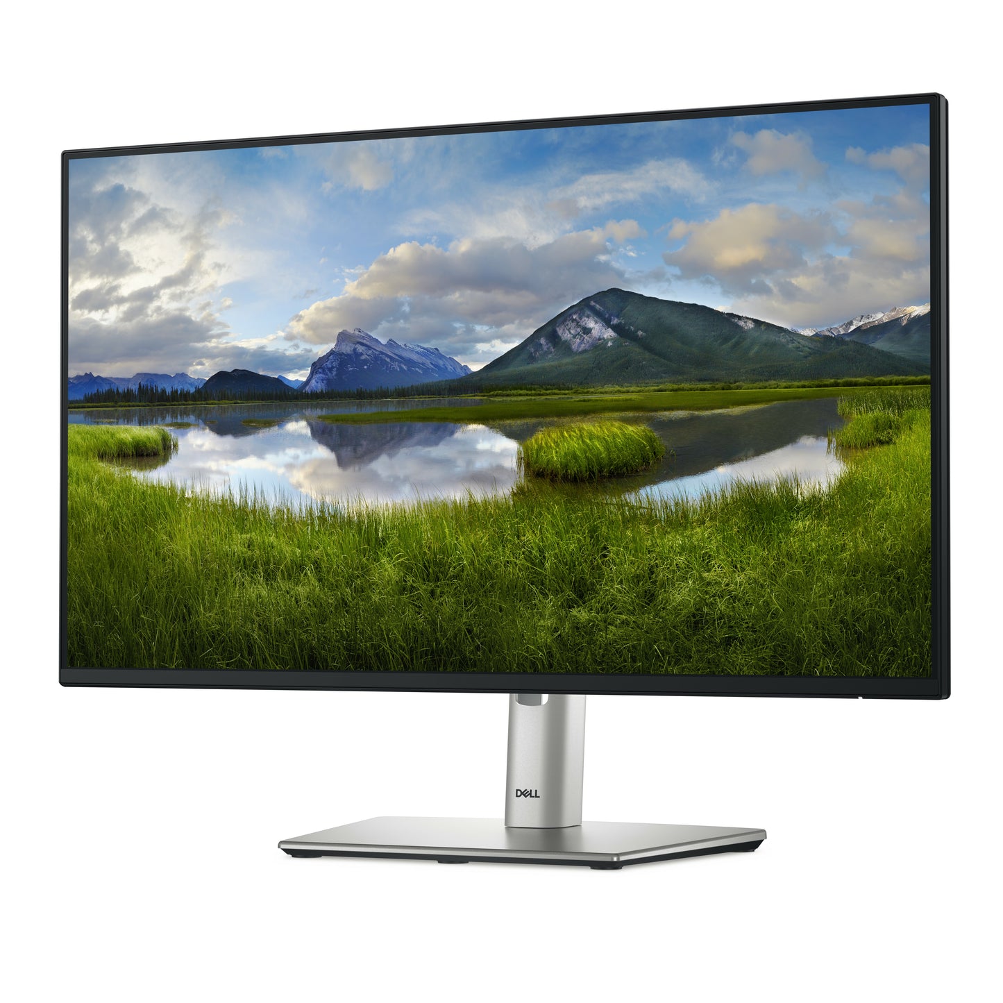 Dell P2425H 23.8" Full HD IPS Monitor – 100Hz, USB Hub, Height Adjustable, Black
