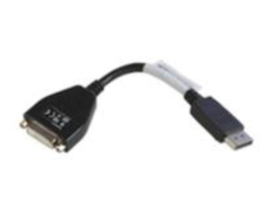 Lenovo FRU43N9160 DVI-D to DisplayPort Cable – Black, Male/Male Connectors