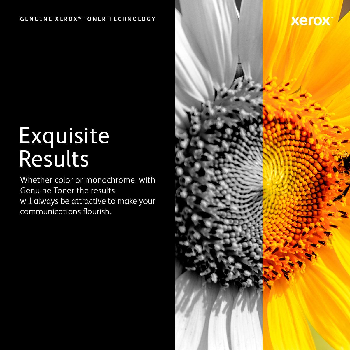 Xerox 006R04399 Black Toner Cartridge – Standard Yield 1200 Pages