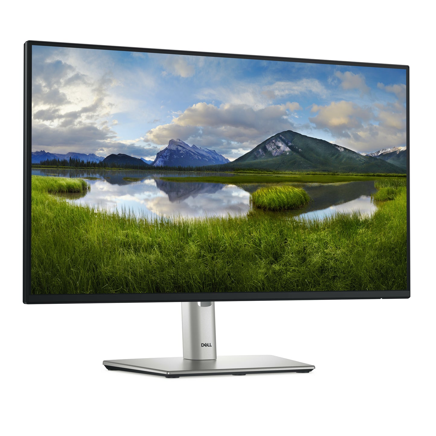 Dell P2425H 23.8" Full HD IPS Monitor – 100Hz, USB Hub, Height Adjustable, Black