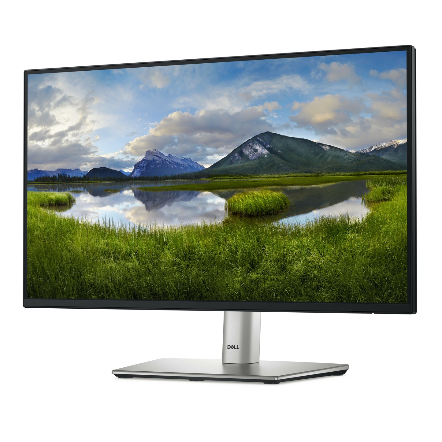 Dell P2225H 21.5" Full HD IPS Monitor – 100Hz, USB Hub, Height Adjustable