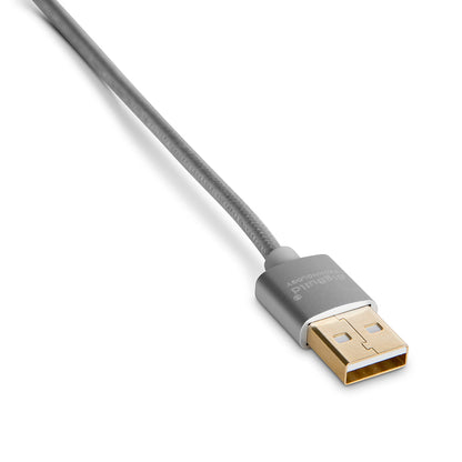 BigBuild Technology SILVER 3-Metre/9 Feet 9 inch Gold Plated USB Cable