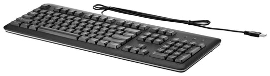 HP QY776AA#B13 USB Keyboard – Dutch Layout Full-Size Wired Black