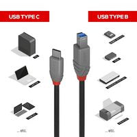 Lindy 36666 USB 3.2 Type C to B Cable 1m Black Round Cable
