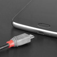 Lindy 36893 USB 2.0 Type C to Micro-B Cable 3m Black PVC Jacket