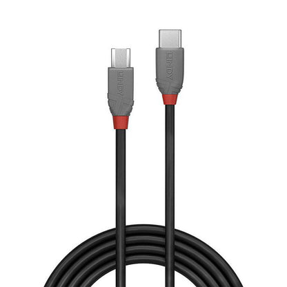 Lindy 36892 USB 2.0 Type C to Micro-B Cable 2m Black/Grey