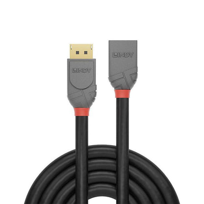 Lindy 36498 DisplayPort Cable – High-Quality Digital Video Lead