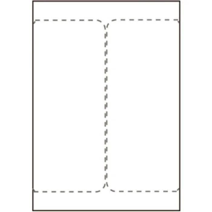 Capture SHIPLABEL105X220-I2P Printer Labels 105x220mm – 500 Sheets, 2/Sheet